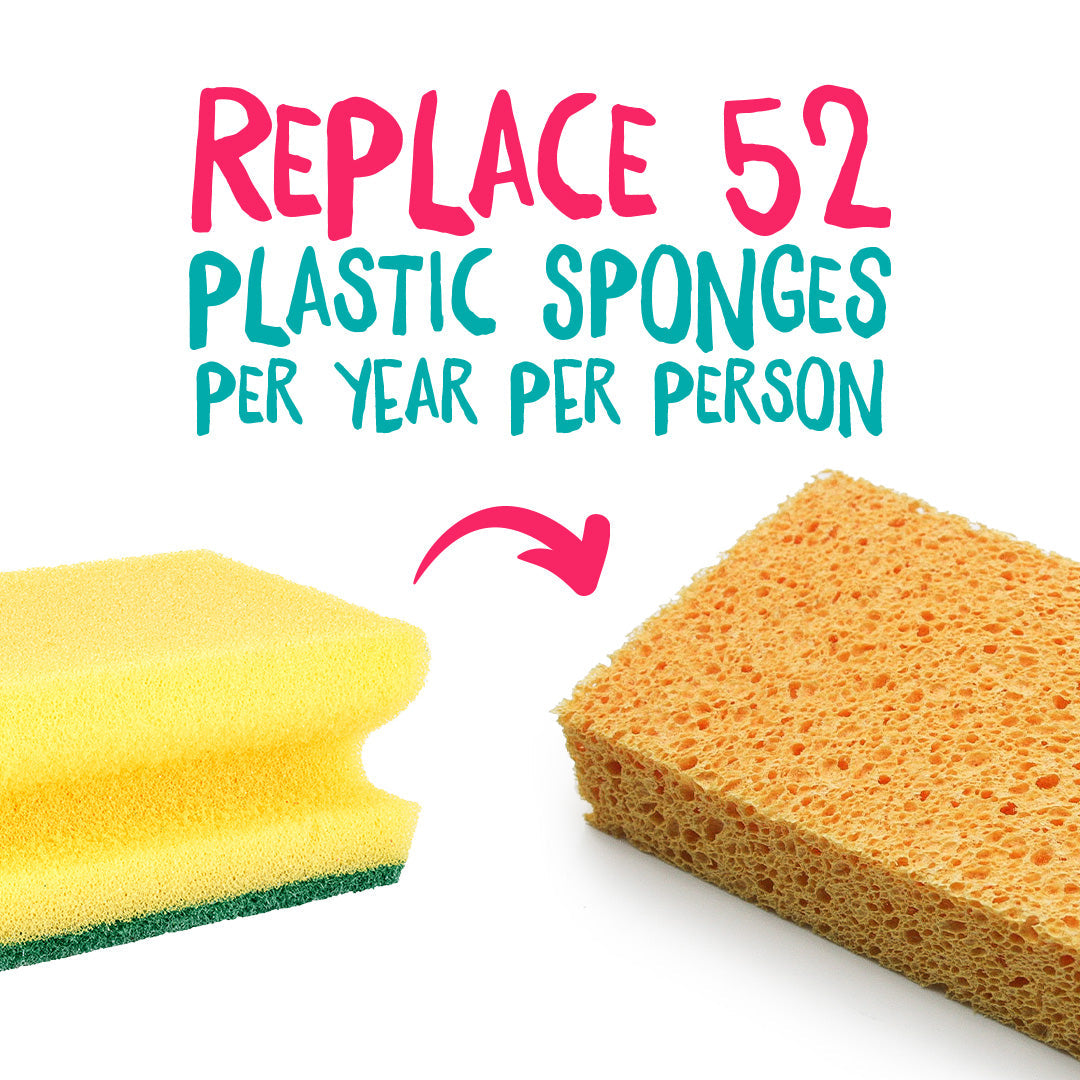 Compostable Cellulose Sponges - Pack of 2-1