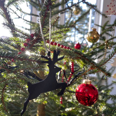 Rudolph Eco Friendly Christmas Decoration-1