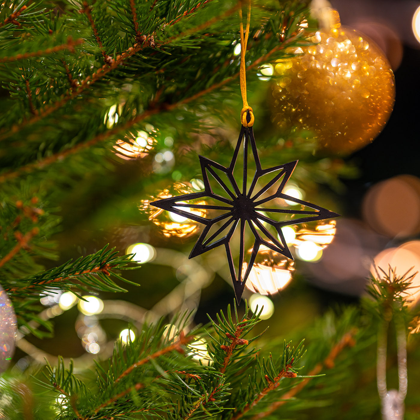 Sirius Star Eco Friendly Christmas Decoration-1